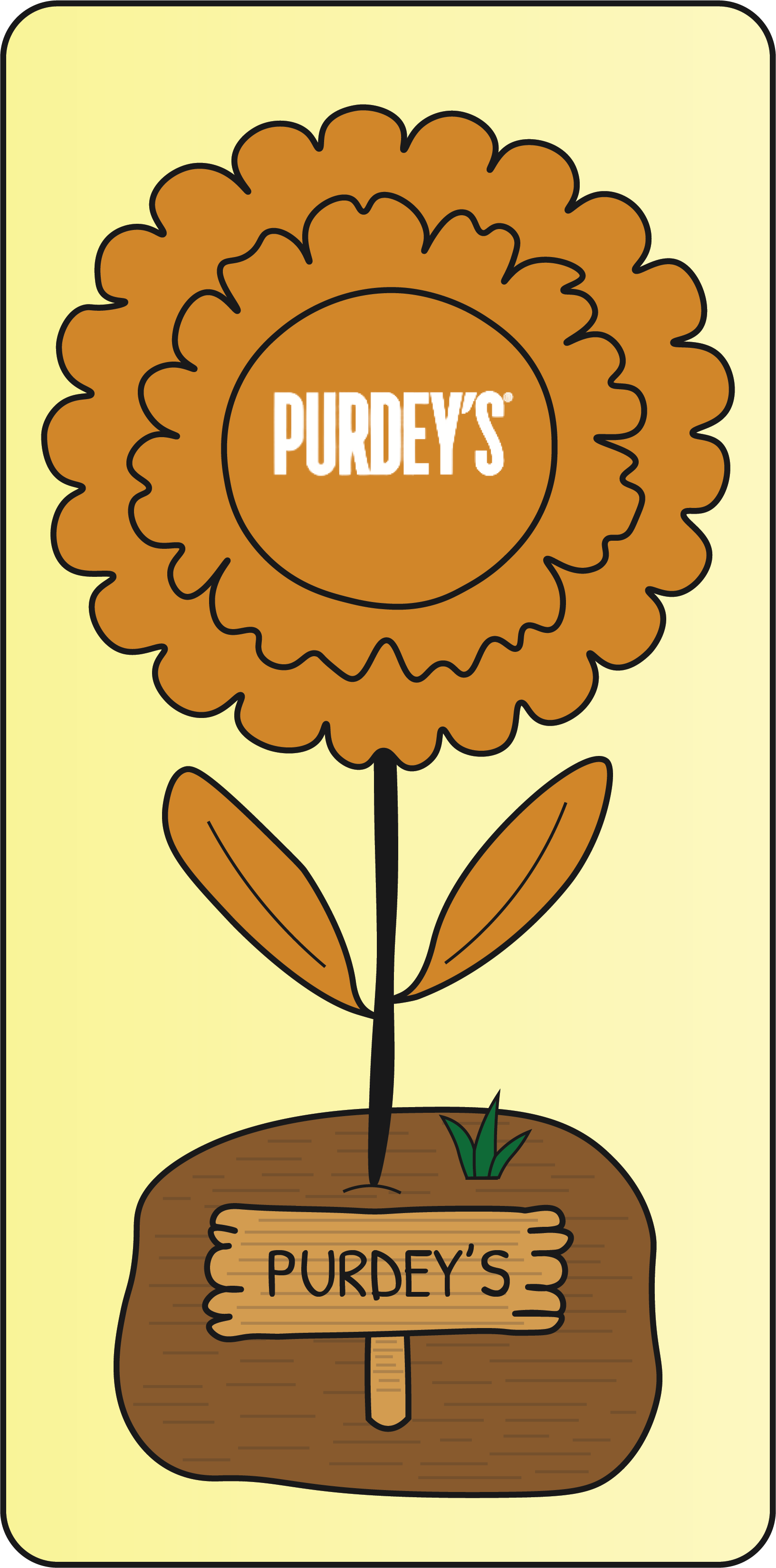PURDEY'S flower project preview